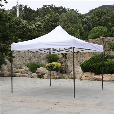 Šator s nadstrešnicom 10x10